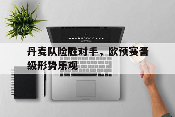 丹麦队险胜对手，欧预赛晋级形势乐观